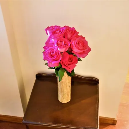 Guest house Centar Budva